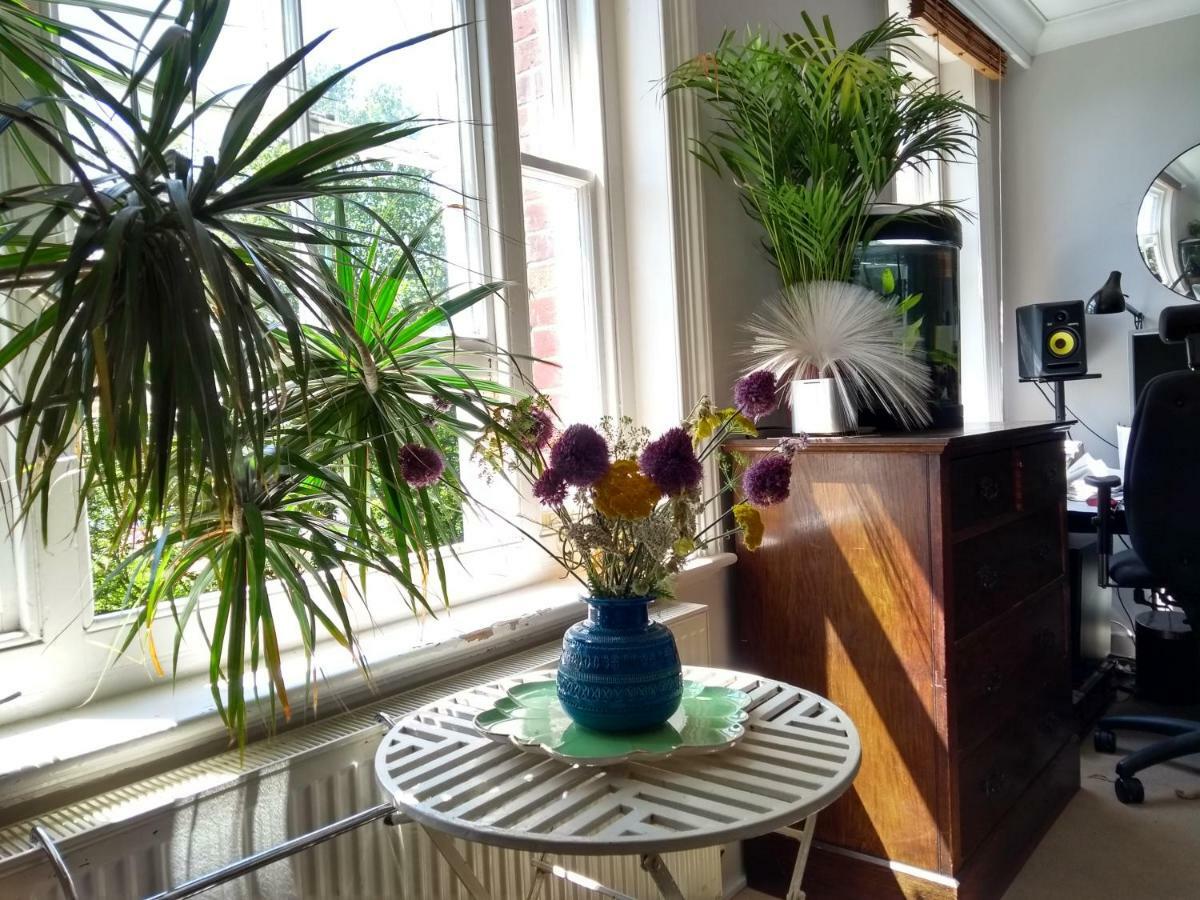 Stunning Retro Apartment In Central Hove Buitenkant foto